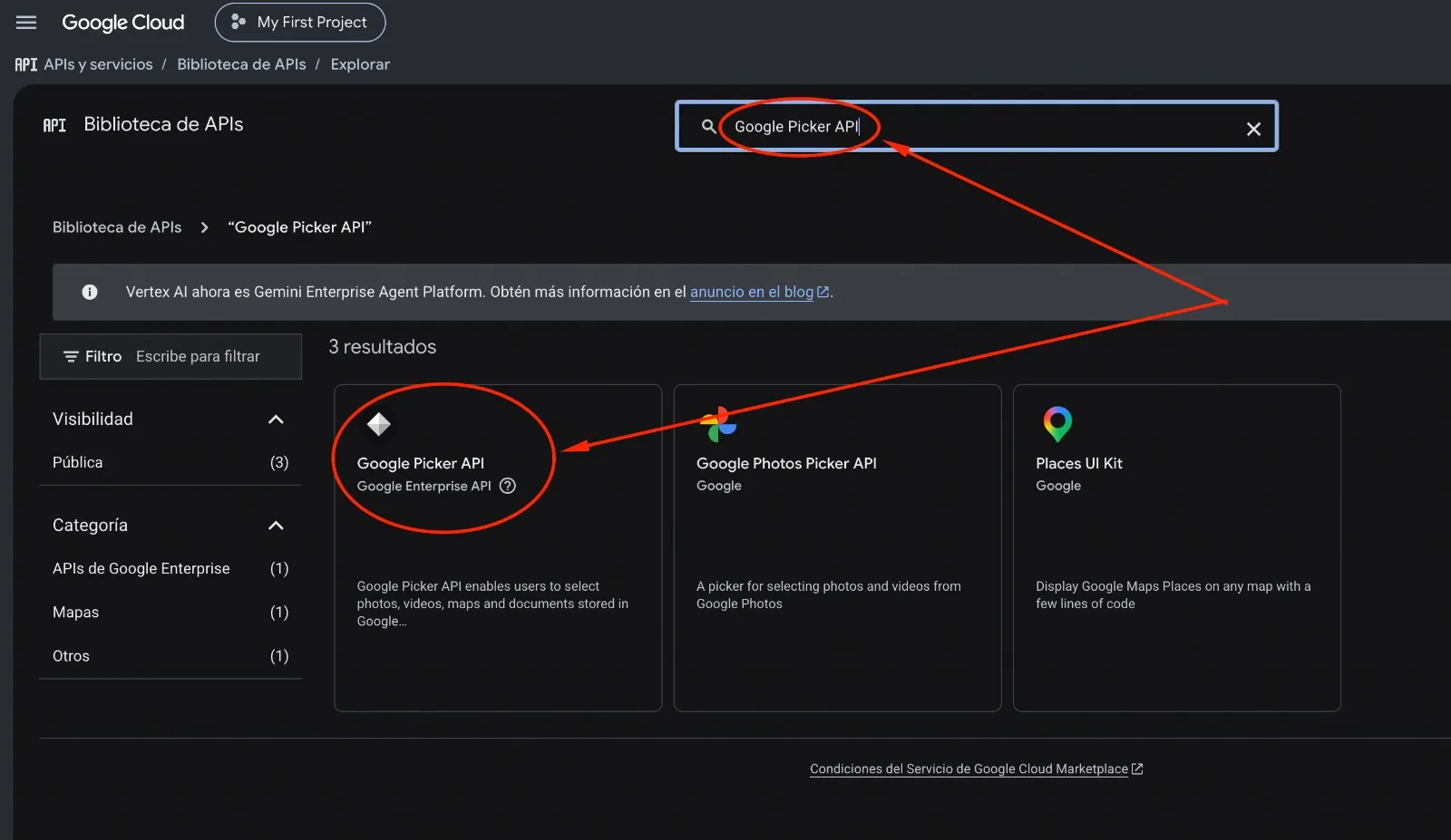 Resultados de buscar Google Picker API, con la tarjeta correcta marcada